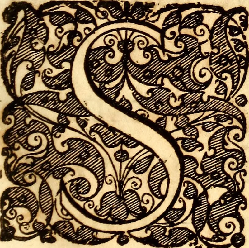 An illustration from P. Gasparis Schotti, regis curtani ... Physica curiosa, sive, Mirabilia naturæ et artis libris XII. comprehensa : quibus pleraq[ue], quæ de angelis, dæmonibus, hominibus, spectris, energumenis, monstris, portentis, animalibus, meteoris, &c. rara, arcana, curiosaq[ue] circumferuntur, ad veritatis trutinam expenduntur : variis ex historia ac philosophia petitis disquisitionibus excutiuntur, & innumeris exemplis illustrantur .., 1662, leaf 14