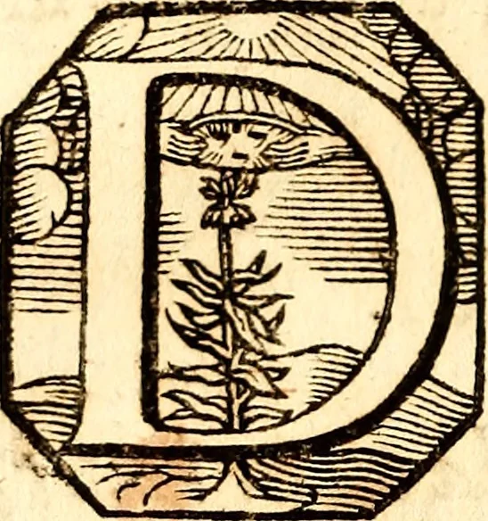 An illustration from P. Gasparis Schotti, regis curtani ... Physica curiosa, sive, Mirabilia naturæ et artis libris XII. comprehensa : quibus pleraq[ue], quæ de angelis, dæmonibus, hominibus, spectris, energumenis, monstris, portentis, animalibus, meteoris, &c. rara, arcana, curiosaq[ue] circumferuntur, ad veritatis trutinam expenduntur : variis ex historia ac philosophia petitis disquisitionibus excutiuntur, & innumeris exemplis illustrantur .., 1662, leaf 261