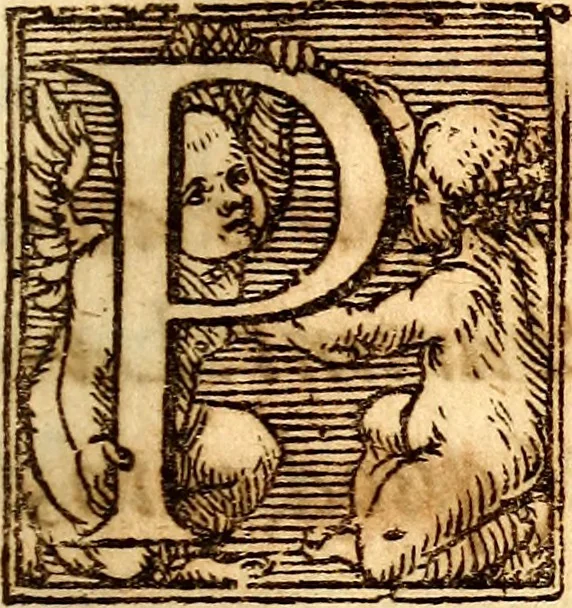 An illustration from P. Gasparis Schotti, regis curtani ... Physica curiosa, sive, Mirabilia naturæ et artis libris XII. comprehensa : quibus pleraq[ue], quæ de angelis, dæmonibus, hominibus, spectris, energumenis, monstris, portentis, animalibus, meteoris, &c. rara, arcana, curiosaq[ue] circumferuntur, ad veritatis trutinam expenduntur : variis ex historia ac philosophia petitis disquisitionibus excutiuntur, & innumeris exemplis illustrantur .., 1662, leaf 34