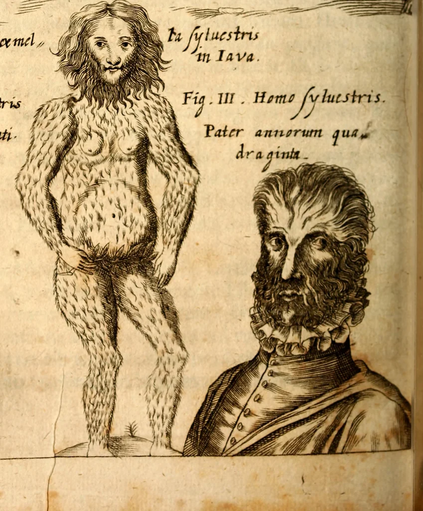 An illustration from P. Gasparis Schotti, regis curtani ... Physica curiosa, sive, Mirabilia naturæ et artis libris XII. comprehensa : quibus pleraq[ue], quæ de angelis, dæmonibus, hominibus, spectris, energumenis, monstris, portentis, animalibus, meteoris, &c. rara, arcana, curiosaq[ue] circumferuntur, ad veritatis trutinam expenduntur : variis ex historia ac philosophia petitis disquisitionibus excutiuntur, & innumeris exemplis illustrantur .., 1662, leaf 511