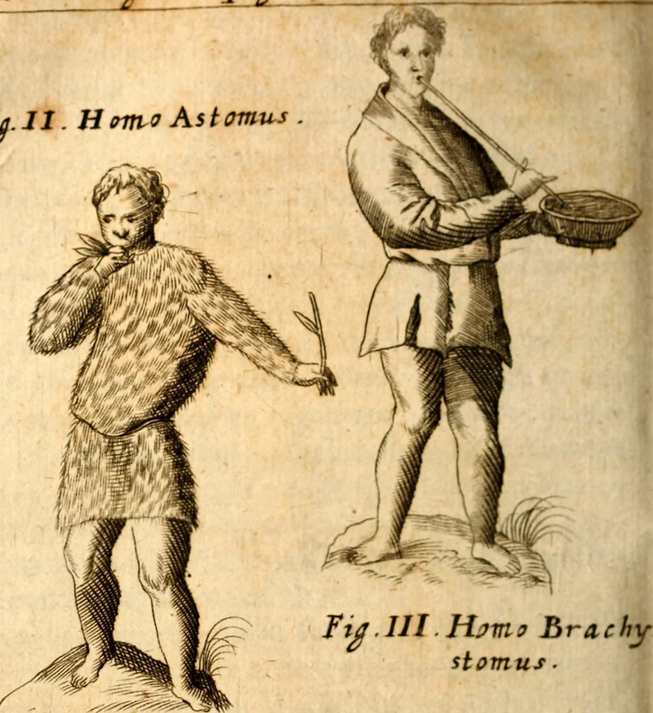 An illustration from P. Gasparis Schotti, regis curtani ... Physica curiosa, sive, Mirabilia naturæ et artis libris XII. comprehensa : quibus pleraq[ue], quæ de angelis, dæmonibus, hominibus, spectris, energumenis, monstris, portentis, animalibus, meteoris, &c. rara, arcana, curiosaq[ue] circumferuntur, ad veritatis trutinam expenduntur : variis ex historia ac philosophia petitis disquisitionibus excutiuntur, & innumeris exemplis illustrantur .., 1662, leaf 523