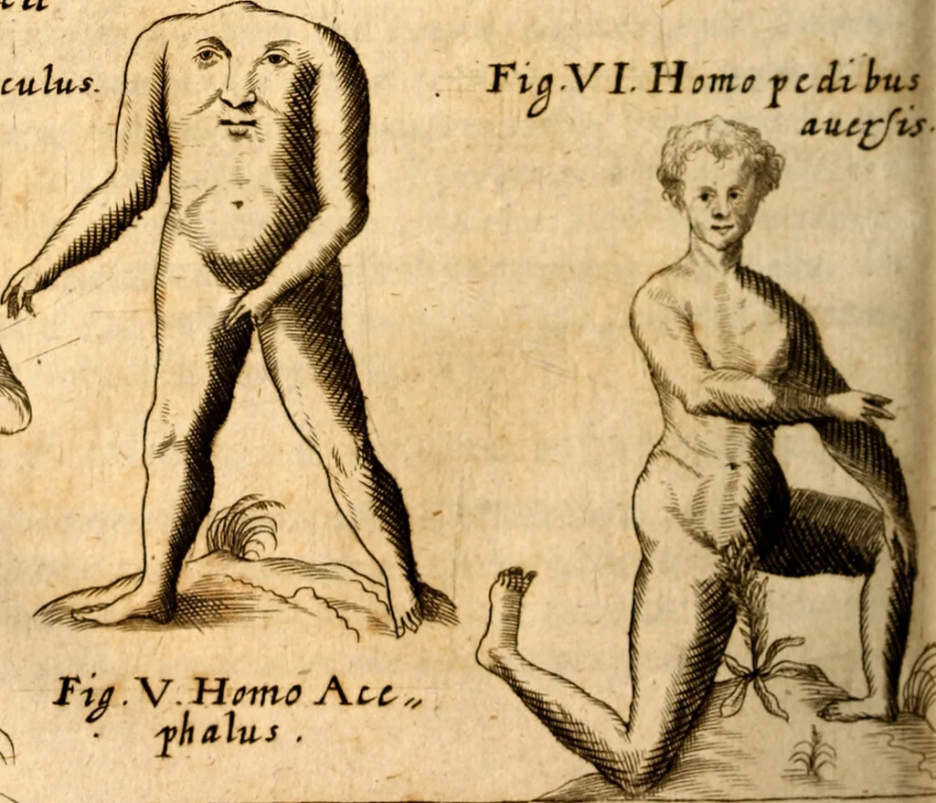 An illustration from P. Gasparis Schotti, regis curtani ... Physica curiosa, sive, Mirabilia naturæ et artis libris XII. comprehensa : quibus pleraq[ue], quæ de angelis, dæmonibus, hominibus, spectris, energumenis, monstris, portentis, animalibus, meteoris, &c. rara, arcana, curiosaq[ue] circumferuntur, ad veritatis trutinam expenduntur : variis ex historia ac philosophia petitis disquisitionibus excutiuntur, & innumeris exemplis illustrantur .., 1662, leaf 523