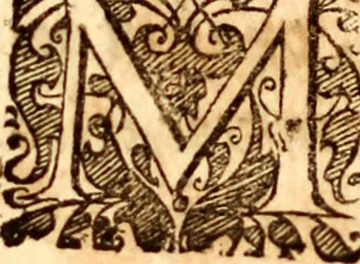 An illustration from P. Gasparis Schotti, regis curtani ... Physica curiosa, sive, Mirabilia naturæ et artis libris XII. comprehensa : quibus pleraq[ue], quæ de angelis, dæmonibus, hominibus, spectris, energumenis, monstris, portentis, animalibus, meteoris, &c. rara, arcana, curiosaq[ue] circumferuntur, ad veritatis trutinam expenduntur : variis ex historia ac philosophia petitis disquisitionibus excutiuntur, & innumeris exemplis illustrantur .., 1662, leaf 733