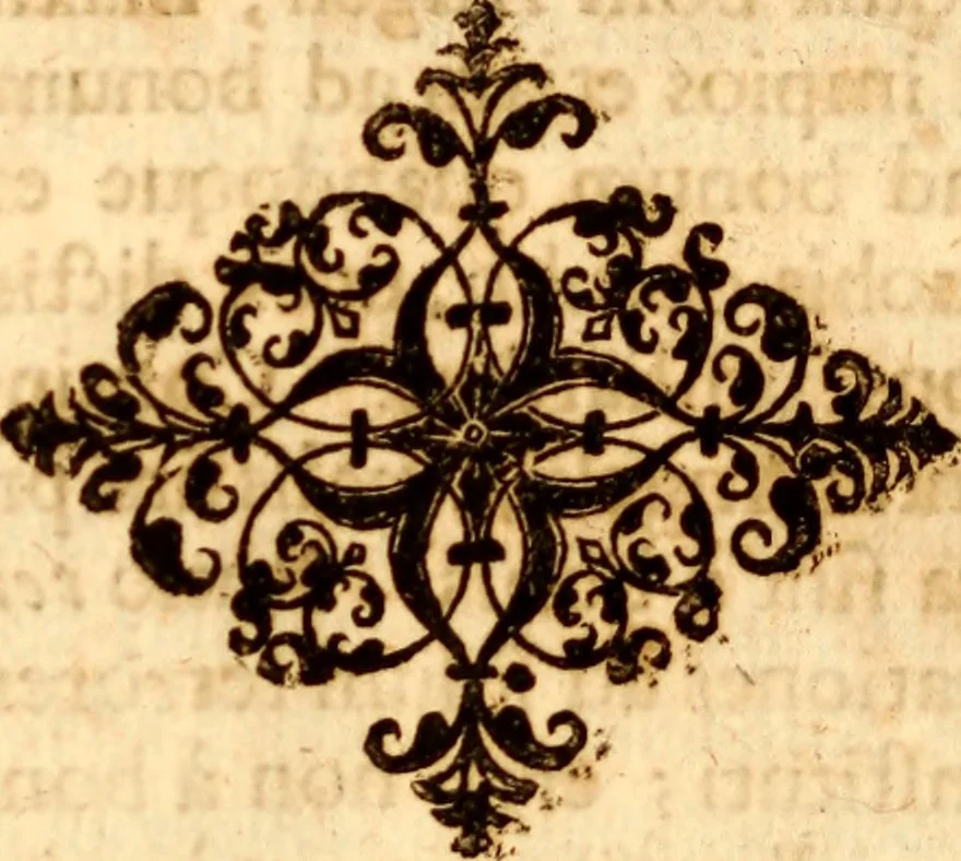 An illustration from P. Gasparis Schotti, regis curtani ... Physica curiosa, sive, Mirabilia naturæ et artis libris XII. comprehensa : quibus pleraq[ue], quæ de angelis, dæmonibus, hominibus, spectris, energumenis, monstris, portentis, animalibus, meteoris, &c. rara, arcana, curiosaq[ue] circumferuntur, ad veritatis trutinam expenduntur : variis ex historia ac philosophia petitis disquisitionibus excutiuntur, & innumeris exemplis illustrantur .., 1662, leaf 879