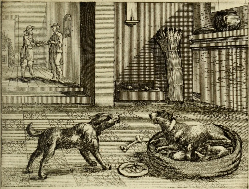 An illustration from Phaedri, Augusti Caesaris liberti, Fabularum Aesopiarum libri quinque ; notis perpetuis illustrati, & cum integris aliorum observationibvs, 1667, leaf 132