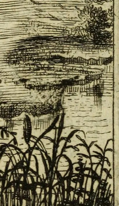 An illustration from Phaedri, Augusti Caesaris liberti, Fabularum Aesopiarum libri quinque ; notis perpetuis illustrati, & cum integris aliorum observationibvs, 1667, leaf 147