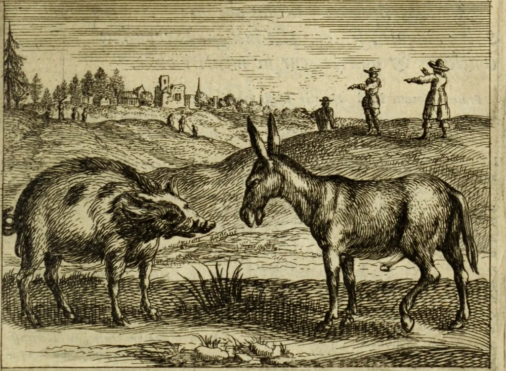 An illustration from Phaedri, Augusti Caesaris liberti, Fabularum Aesopiarum libri quinque ; notis perpetuis illustrati, & cum integris aliorum observationibvs, 1667, leaf 158