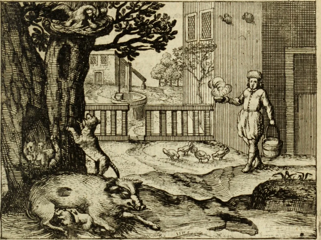 An illustration from Phaedri, Augusti Caesaris liberti, Fabularum Aesopiarum libri quinque ; notis perpetuis illustrati, & cum integris aliorum observationibvs, 1667, leaf 176
