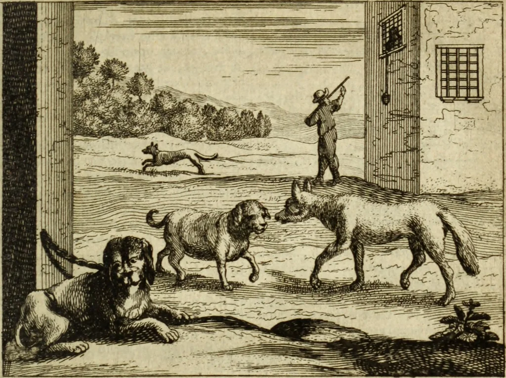 An illustration from Phaedri, Augusti Caesaris liberti, Fabularum Aesopiarum libri quinque ; notis perpetuis illustrati, & cum integris aliorum observationibvs, 1667, leaf 238
