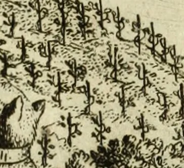 An illustration from Phaedri, Augusti Caesaris liberti, Fabularum Aesopiarum libri quinque ; notis perpetuis illustrati, & cum integris aliorum observationibvs, 1667, leaf 301