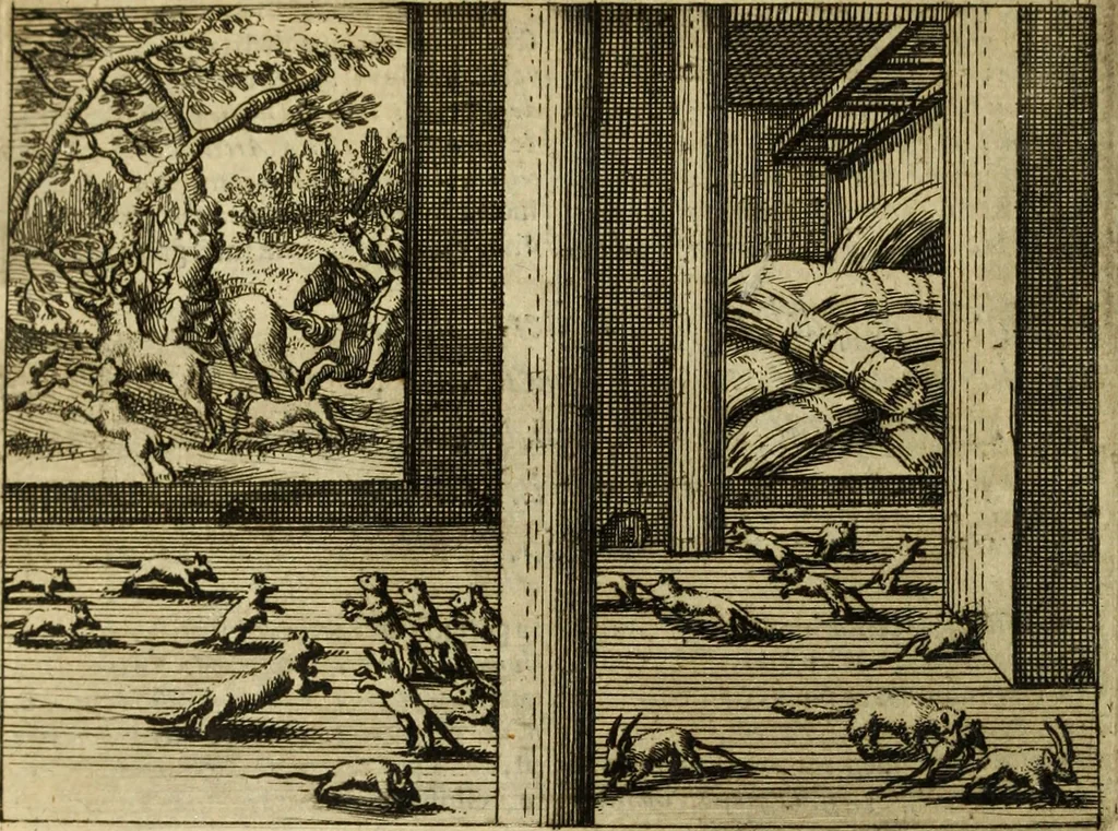 An illustration from Phaedri, Augusti Caesaris liberti, Fabularum Aesopiarum libri quinque ; notis perpetuis illustrati, & cum integris aliorum observationibvs, 1667, leaf 319