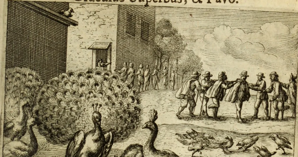 An illustration from Phaedri, Augusti Caesaris liberti, Fabularum Aesopiarum libri quinque ; notis perpetuis illustrati, & cum integris aliorum observationibvs, 1667, leaf 88