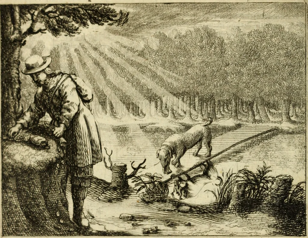 An illustration from Phaedri, Augusti Caesaris liberti, Fabularum Aesopiarum libri quinque ; notis perpetuis illustrati, & cum integris aliorum observationibvs, 1667, leaf 91