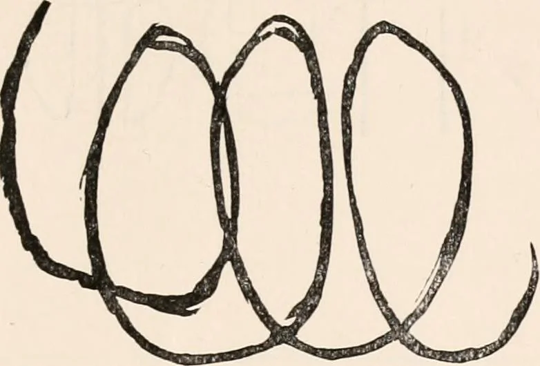 An illustration from Phantasms of the living, 1886, leaf 678