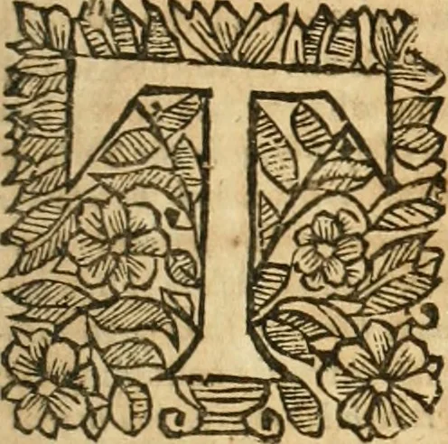 An illustration from Pharamond; or, The history of France. A fam'd romance in twelve parts; the whole work never before Englished;, 1677, leaf 1088