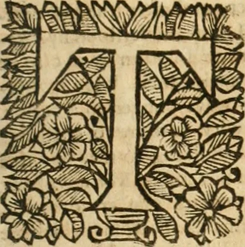 An illustration from Pharamond; or, The history of France. A fam'd romance in twelve parts; the whole work never before Englished;, 1677, leaf 1116