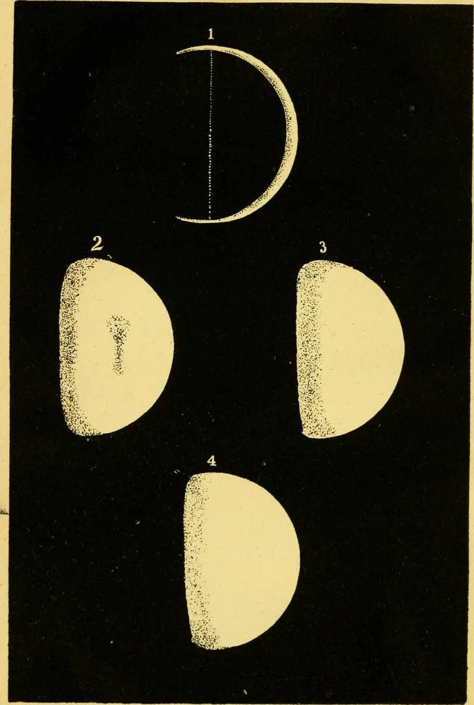 An illustration from The phenomena and order of the solar system, 1843, leaf 131