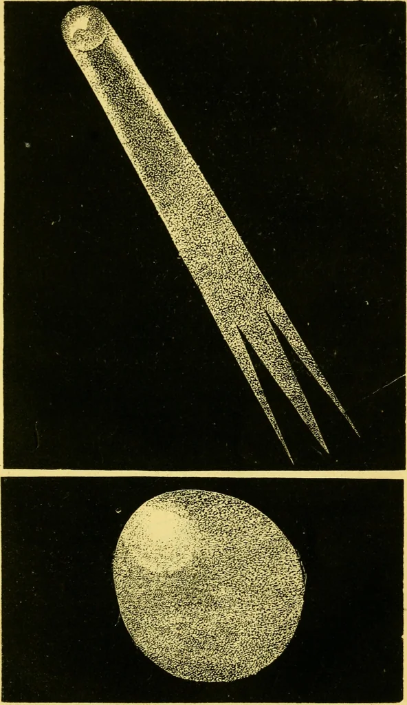 An illustration from The phenomena and order of the solar system, 1843, leaf 172
