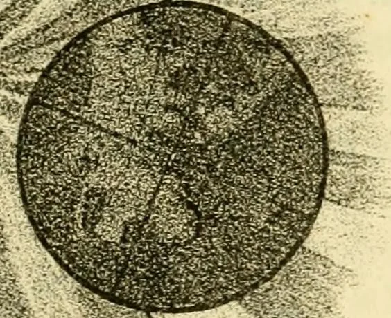 An illustration from The phenomena and order of the solar system, 1843, leaf 56