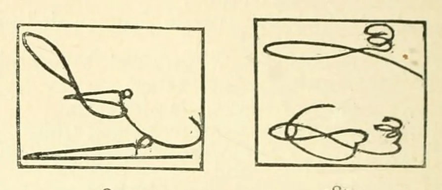 An illustration from The Philatelical journal, 1872, leaf 254