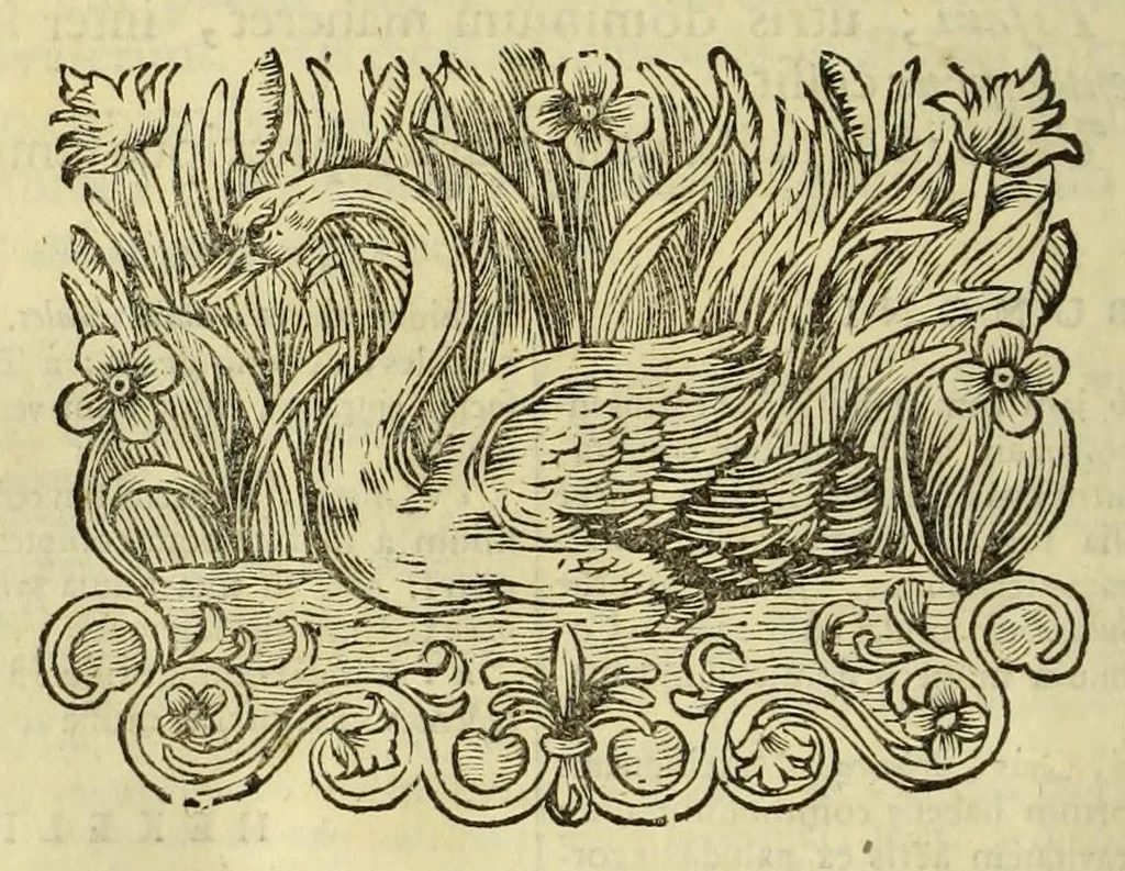 An illustration from Philippi Cluverii Introductio in universam geographiam : tam veterem quam novam tabulis geographicis XLVI. ac notis olim ornata, 1697, leaf 392