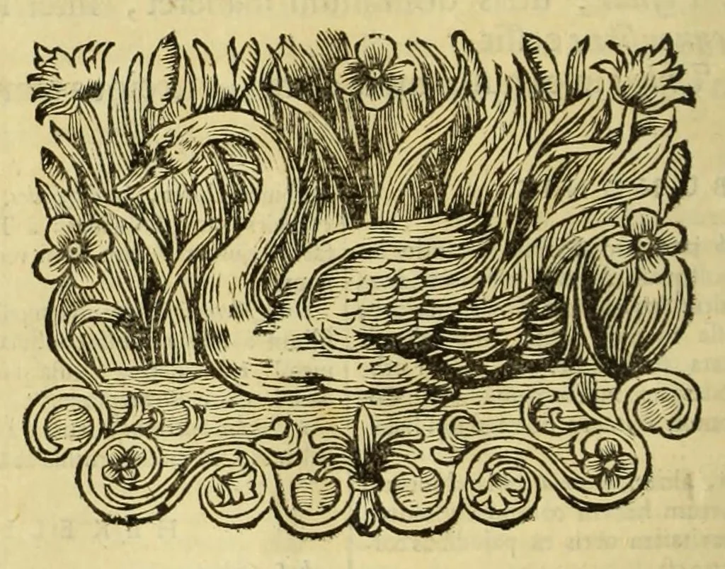 An illustration from Philippi Cluverii Introductio in universam geographiam : tam veterem quam novam tabulis geographicis XLVI. ac notis olim ornata, 1697, leaf 344