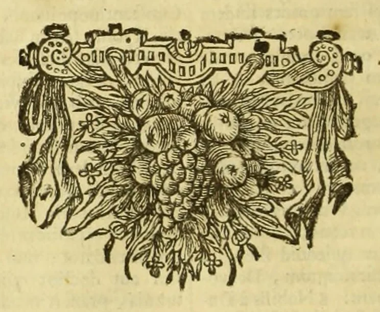 An illustration from Philippi Cluverii Introductio in universam geographiam : tam veterem quam novam tabulis geographicis XLVI. ac notis olim ornata, 1697, leaf 446