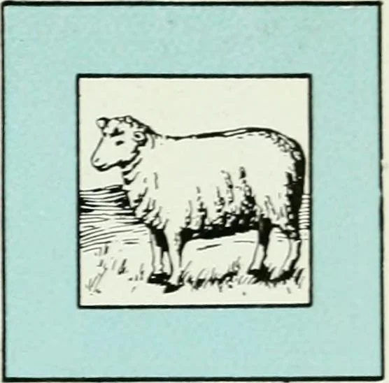 An illustration from Philips' pictorial pocket atlas and gazetteer, 1900, leaf 148