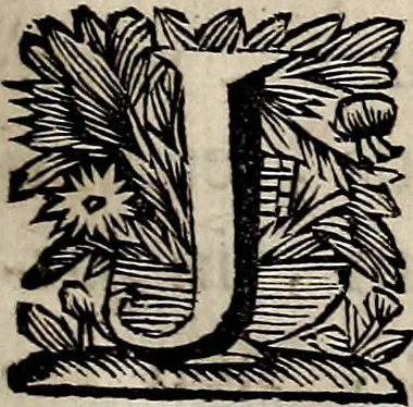 An illustration from Philologus Hebraeus : continens quaestiones hebraicas quae circa Vetus Testamentum Hebraeum fere moveri solent, 1694, leaf 10