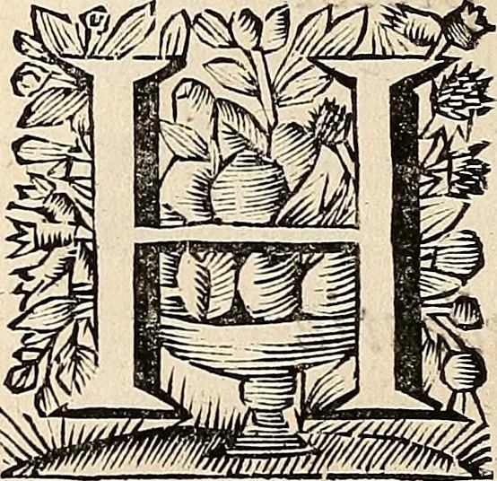 An illustration from Philologus Hebraeus : continens quaestiones hebraicas quae circa Vetus Testamentum Hebraeum fere moveri solent, 1694, leaf 13