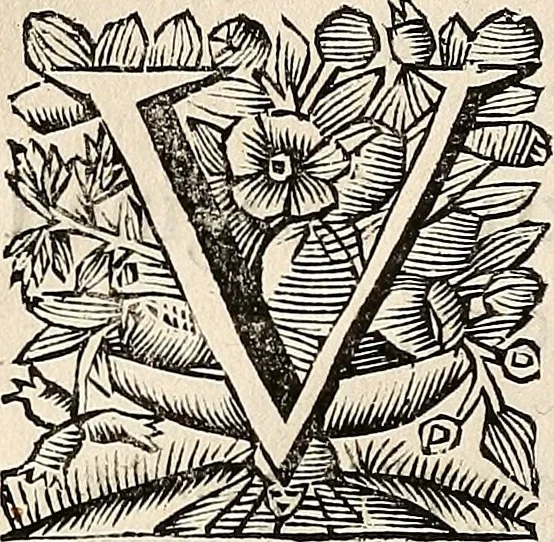 An illustration from Philologus Hebraeus : continens quaestiones hebraicas quae circa Vetus Testamentum Hebraeum fere moveri solent, 1694, leaf 25