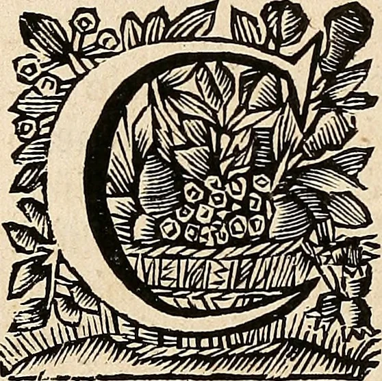 An illustration from Philologus Hebraeus : continens quaestiones hebraicas quae circa Vetus Testamentum Hebraeum fere moveri solent, 1694, leaf 467