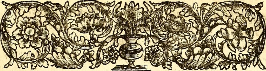 An illustration from Philosophiae naturalis principia mathematica, 1723, leaf 530
