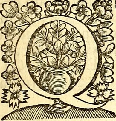An illustration from Philosophiae naturalis principia mathematica, 1723, leaf 582