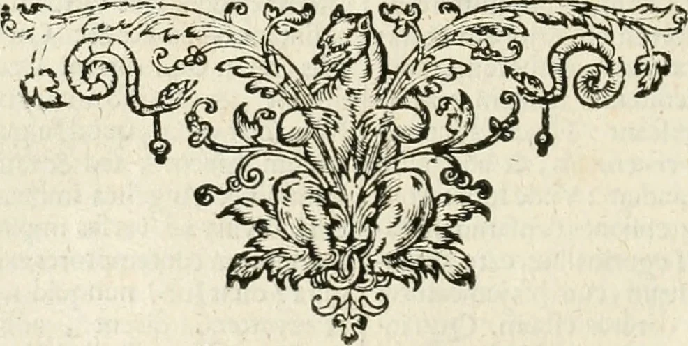 An illustration from Philosophia Moysaica : in qua sapientia & scientia creationis & creaturarum sacra veréque Christiana (vt pote cujus basis sive fundamentum est unicus ille lapis angularis Iesus Christus) ad amussim & enucleaté explicatur, 1638, leaf 129
