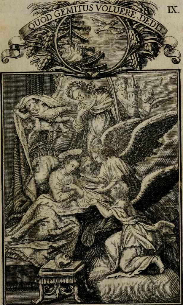 An illustration from Philosophia sacra, sive, Vita divi Stanislai Kostka, Soc. Jesu : iconismis et documentis moralibus illustr[a]ta, ac ejusdem divi praeviis apotheoseos honoribus humillimè consecrata, 1715, leaf 62