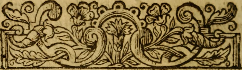 An illustration from Philosophia theologiae ancillans : hoc est pia & sobria explicatio quaestionum philosophicarum in disputationibus theologicis subinde occurrentium ..., 1641, leaf 11