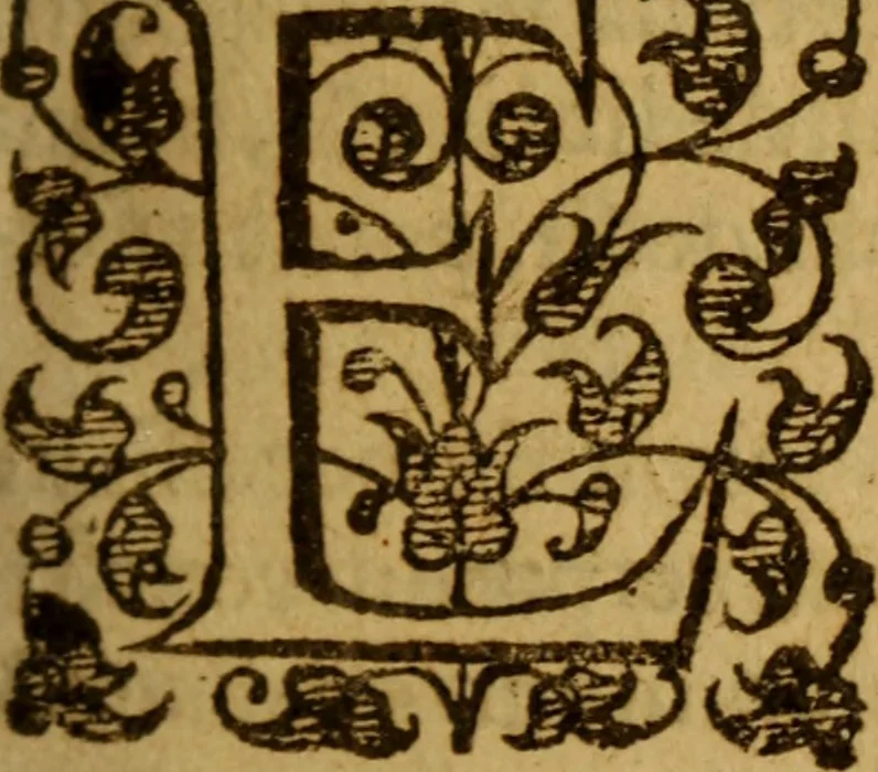 An illustration from Philosophia theologiae ancillans : hoc est pia & sobria explicatio quaestionum philosophicarum in disputationibus theologicis subinde occurrentium ..., 1641, leaf 26