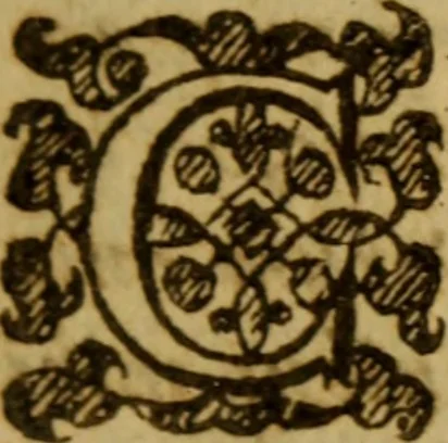 An illustration from Philosophia theologiae ancillans : hoc est pia & sobria explicatio quaestionum philosophicarum in disputationibus theologicis subinde occurrentium ..., 1641, leaf 8