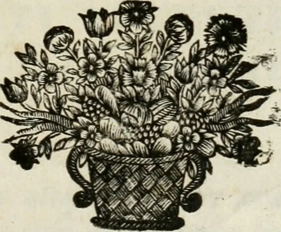 An illustration from Philosophia vetus et nova : ad usum scholae accommodata, in Regia Burgundia olim pertractata, 1684, leaf 4