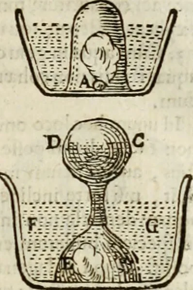 An illustration from Philosophia vetus et nova : ad usum scholae accommodata, in Regia Burgundia olim pertractata, 1684, leaf 190