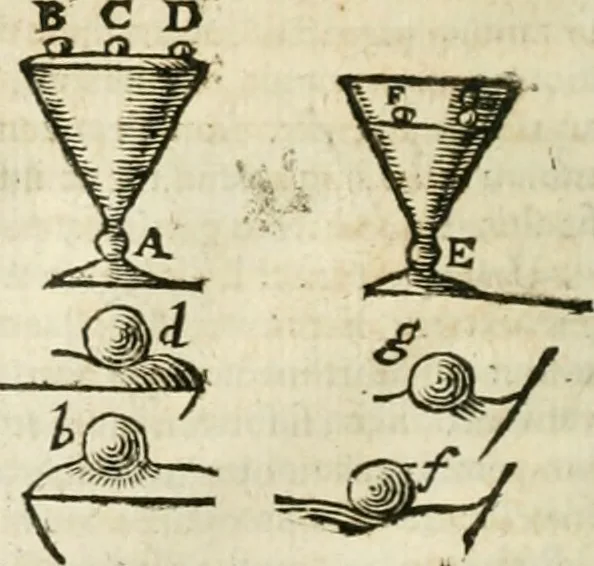 An illustration from Philosophia vetus et nova : ad usum scholae accommodata, in Regia Burgundia olim pertractata, 1684, leaf 241