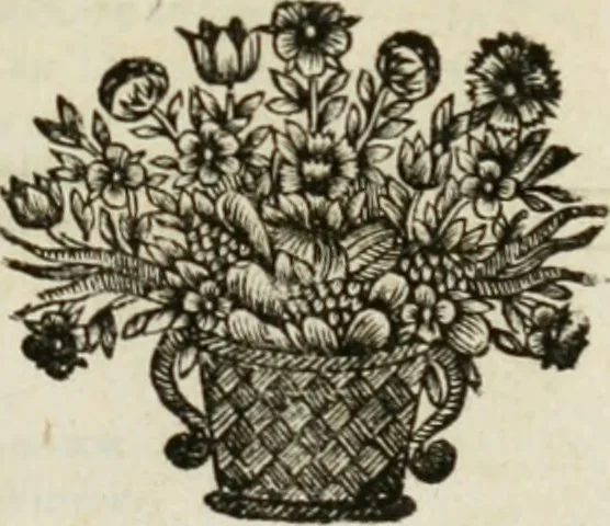 An illustration from Philosophia vetus et nova : ad usum scholae accommodata, in Regia Burgundia olim pertractata, 1684, leaf 4