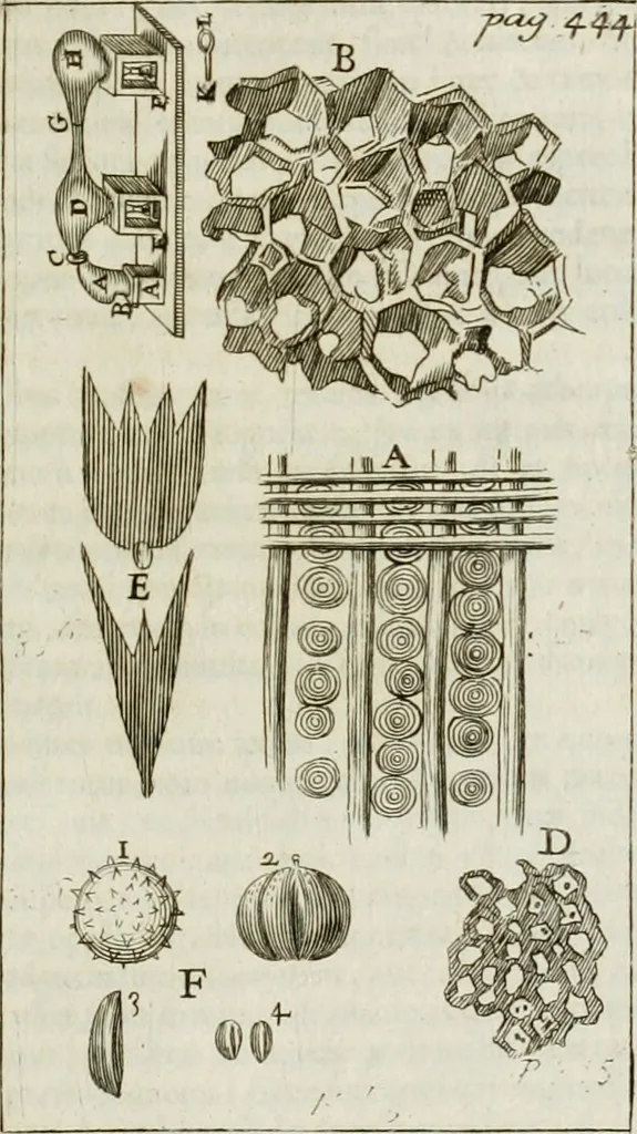 An illustration from Philosophia vetus et nova : ad usum scholae accommodata, in Regia Burgundia olim pertractata, 1684, leaf 456