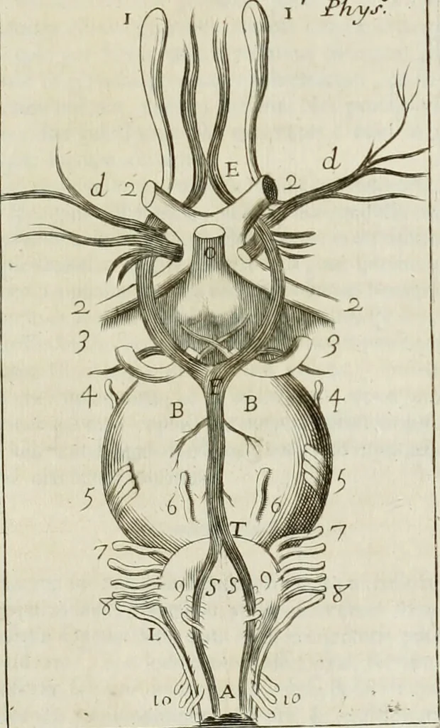 An illustration from Philosophia vetus et nova : ad usum scholae accommodata, in Regia Burgundia olim pertractata, 1684, leaf 518