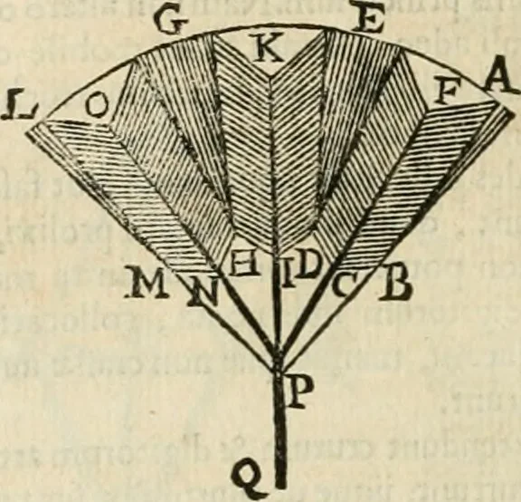 An illustration from Philosophia vetus et nova : ad usum scholae accommodata, in Regia Burgundia olim pertractata, 1684, leaf 553