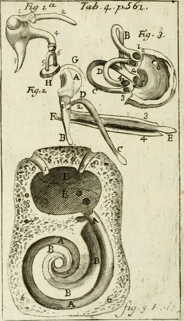 An illustration from Philosophia vetus et nova : ad usum scholae accommodata, in Regia Burgundia olim pertractata, 1684, leaf 585