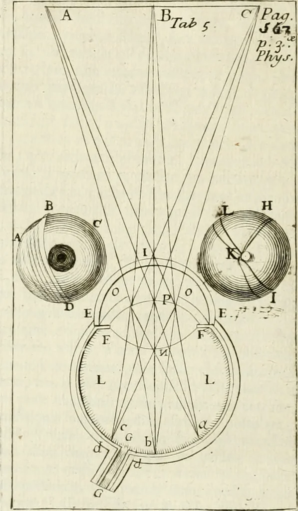 An illustration from Philosophia vetus et nova : ad usum scholae accommodata, in Regia Burgundia olim pertractata, 1684, leaf 593