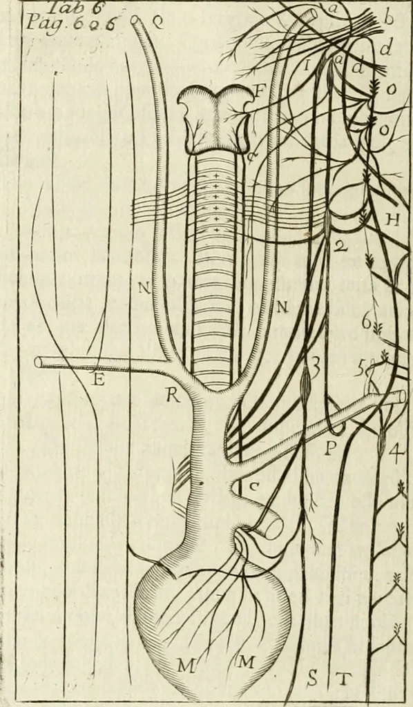 An illustration from Philosophia vetus et nova : ad usum scholae accommodata, in Regia Burgundia olim pertractata, 1684, leaf 637