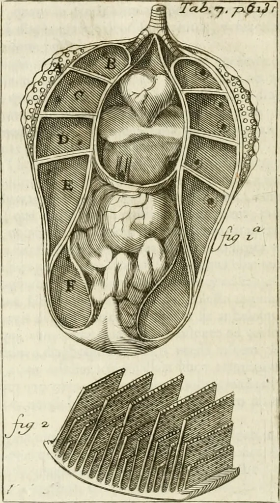 An illustration from Philosophia vetus et nova : ad usum scholae accommodata, in Regia Burgundia olim pertractata, 1684, leaf 643